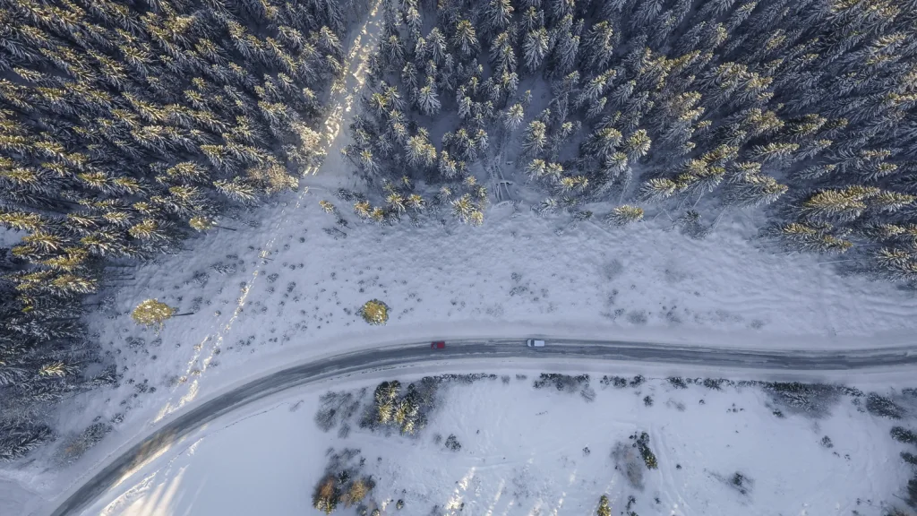 Aerial view of a snow-covered road through a pine forest, with two cars on it